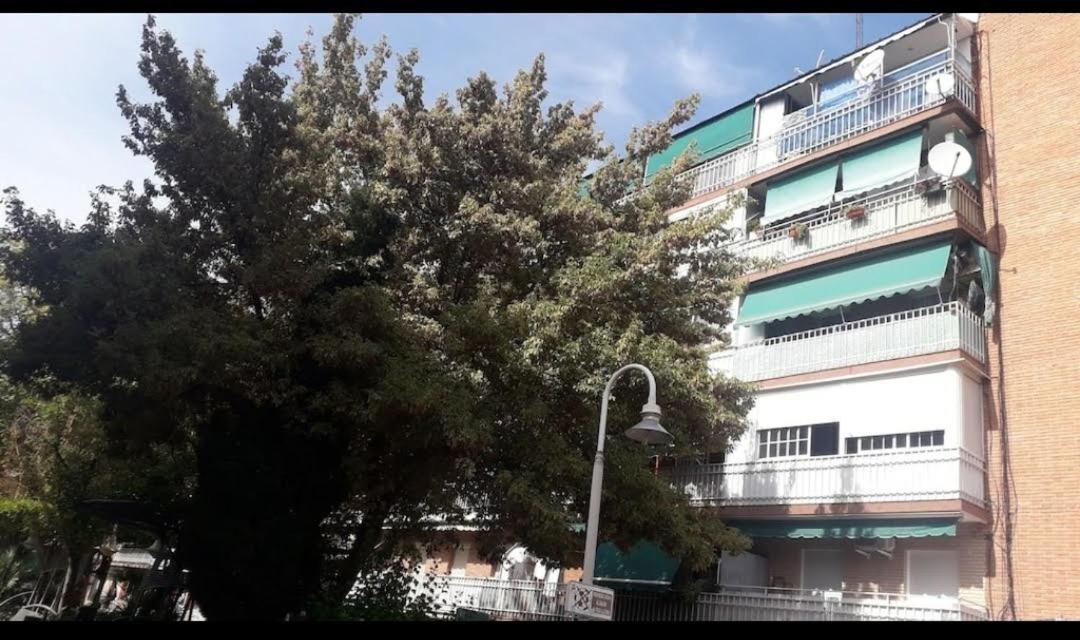 Bed and Breakfast La Torreta Wanda&Ifema Aeropuerto Coslada Exterior foto